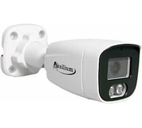 Камера AKSILIUM IP-503 FPM (2.8) 2V УТ000135195