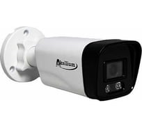 Камера AKSILIUM IP-503 FPM (2.8) 2V SD УТ000130899