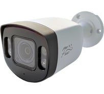 IP-видеокамера FOX FX-IPC-C450FP-OC