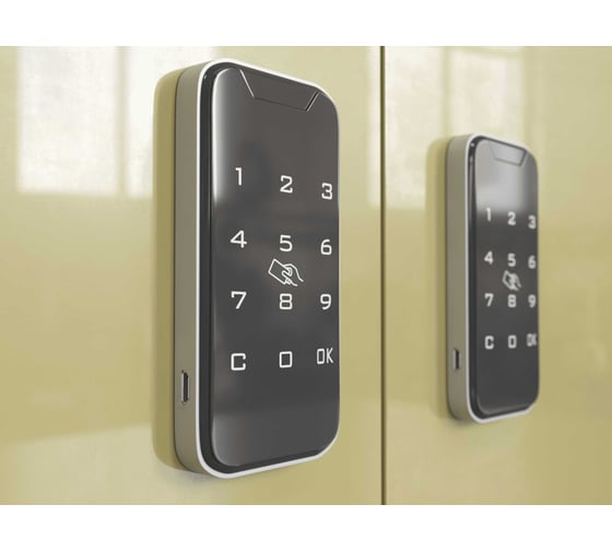 Кодовый и RFID Mifare электронный замок для шкафчика, LOCKTOK приватный или публичный доступ. VTM119
