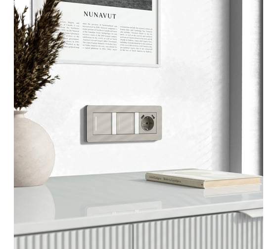 Двухклавишный сенсорный выключатель WERKEL W4522014 с подсветкой (дымчатый) a069763