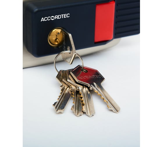 Электромеханический замок ACCORDTEC AT-EL101GF.4 внешний левый, цвет серый, комплектация: 5 ключей AT-15810