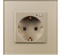 Розетка электрическая Arlight с Zigbee управлением SCT-OMALI-EUZB1-PL-GD 1шт 0 050218