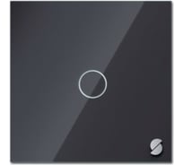 Умный одноклавишный выключатель Sibling черный Powerlight-WS1B 00-00003066