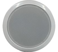 Громкоговоритель потолочный Turbosky TEH-06 695