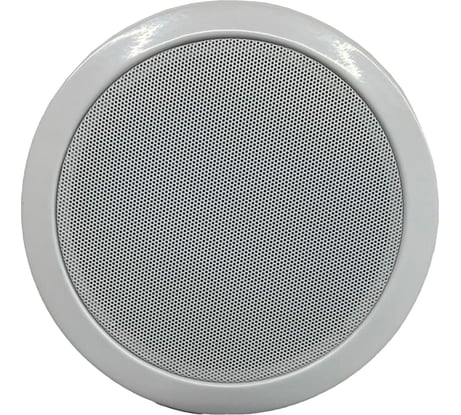 Громкоговоритель потолочный Turbosky TEH-06 695