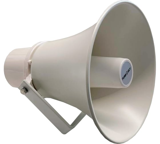 Громкоговоритель настенный Turbosky TH-301 690