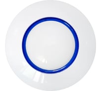 Беспроводной потолочный PIR-датчик движения Viguard ViGUARD PLAFOND F