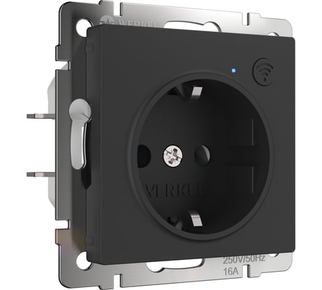 Умная встраиваемая розетка Werkel с заземлением, с защитными шторками, черный матовый a056422