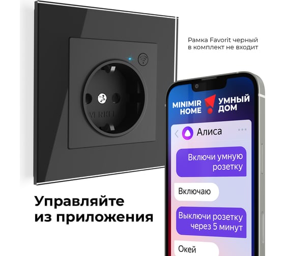 Умная встраиваемая розетка Werkel с заземлением, с защитными шторками, черный матовый a056422