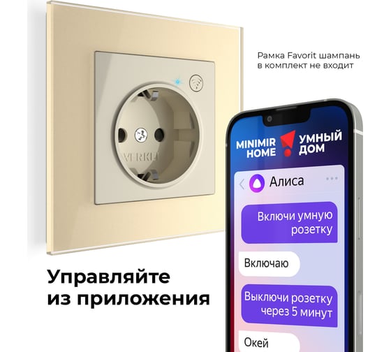 Умная встраиваемая розетка WERKEL с заземлением, с защитными шторками, слоновая кость a056421