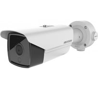 Тепловизионная IP-камера Hikvision с Deep learning алгоритмом DS-2TD2117-6/PA АВ5025468