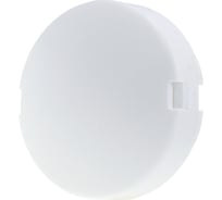Датчик температуры комнатный Zentec RS1-01 (NTC10k 3950) 24906