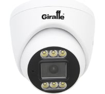IP видеокамера Giraffe GF-IPDIR4322MP2.0 gf0671