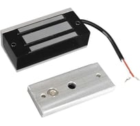 Замок электромагнитный Tantos TS-ML060 усилие удержания 60кг, питание 12В/250мА, 80x34x24мм 00-00338901