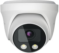 Камера с машинным зрением Rubetek купольная с моторизированным объективом RVX-6235a