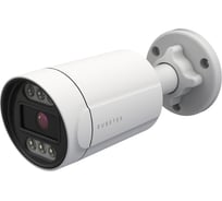 Камера с машинным зрением Rubetek цилиндрическая с моторизированным объективом RVX-4334p