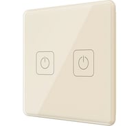 Панель управления двухкнопочная Rubetek PRO бежевый RL-3126/Bg