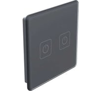 Панель управления двухкнопочная Rubetek PRO антрацит RL-3126/А