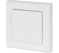 Радиовыключатель TDM ELECTRIC настенный РВ2 2 клав. для беспроводного управления нагрузкой SQ1508-0215