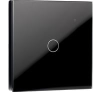 Умный сенсорный выключатель SMARTBUY с Wi-Fi, Яндекс Алисой одноклавишный, черный SBE-wifi1b-10-SW1-0