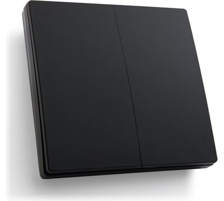 Двухклавишный беспроводной выключатель FERON TM82 SMART, 230V, 500W, черный 41723