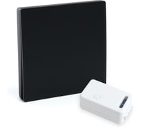 Выключатель беспроводной FERON TM181 230V 500W одноклавишный с радиочастотным контроллером LD100, черный 50507