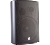 Звуковая настенная колонка Roxton MS-20TB 20Вт, 70/100В, 70-20000Гц, кронштейн в комплекте, цвет черный 00-00023921