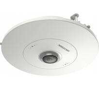 IP-камера Fisheye Hikvision DS-2CD6365G0E-S/RC (1.27mm) 6Мп 30360