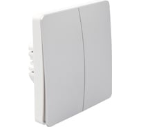 Беспроводной двухклавишный выключатель BOX с двухканальным реле, серебро/белый ESL2287-54