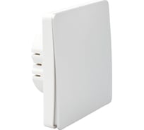 Беспроводной одноклавишный выключатель BOX с одноканальным реле, серебро/белый ESL2187-54