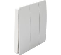 Беспроводной трехкнопочный кинетический выключатель BOX серебро/белый ES2387-54