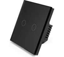 Сенсорный выключатель Vell с нулем, черный, двухклавишный, 1 пост, с Wi-Fi, с Алисой, стеклянная рамка {BK1P-2G-S} 1397664