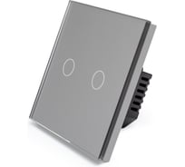 Сенсорный выключатель Vell с нулем, серый, двухклавишный, 1 пост, с Wi-Fi, с Алисой, стеклянная рамка {GY1P-2G-S} 1397666