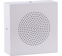 Громкоговоритель настенный Roxton WS-06T, 6/3/1, 5/0, 75 Вт, 160х160х60 мм металлический вандалозащищенный 00-00010773