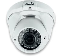 Видеокамера IP Giraffe GF-IPVIR4305MP2.0-VF (4Mp, VF) антивандальная gf0617i