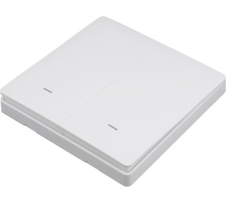 Портативный выключатель GEOZON PS-02 для модуля WR-01 2-канальный ,CR2032, FR434, white GSH-SСE02