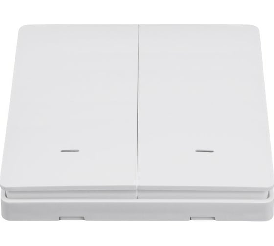 Портативный выключатель GEOZON PS-02 для модуля WR-01 2-канальный ,CR2032, FR434, white GSH-SСE02