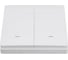 Портативный выключатель GEOZON PS-02 для модуля WR-01 2-канальный ,CR2032, FR434, white GSH-SСE02 2