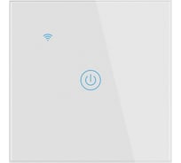 Умный встраиваемый выключатель GEOZON WS-01 1 линия Wi-Fi, безнулевой вход, white GSH-SСW01
