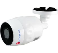 IP-камера Activecam AC-D2101IR3W УТ-00006964