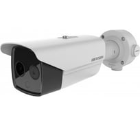 Двухспектральная IP-камера с Deep learning алгоритмом Hikvision DS-2TD2617-10/PA АВ5030367