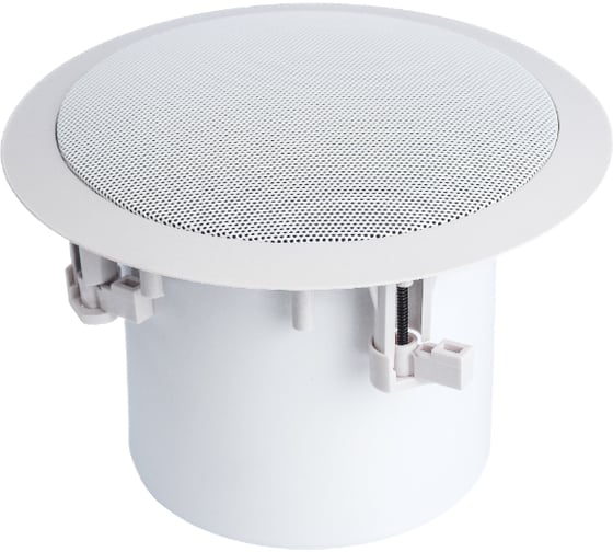 IP громкоговоритель IPTRONIC IPT-LSIP