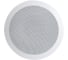 IP громкоговоритель IPTRONIC IPT-LSIP 2