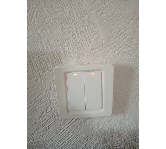 Умный двухкнопочный выключатель Roximo SWBTN01-2 - выгодная цена ...