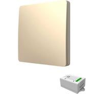 Дистанционный выключатель GRITT Space 1-клавишный, золотистый, комплект: 1 выключатель IP67, 1 радиореле, 1000Вт 13125