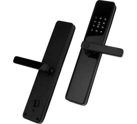 Умный биометрический дверной замок Wi-Fi SECURIC SEC-SF-201B