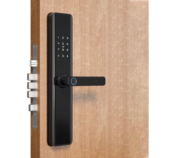 Умный биометрический дверной замок Wi-Fi SECURIC SEC-SF-201B