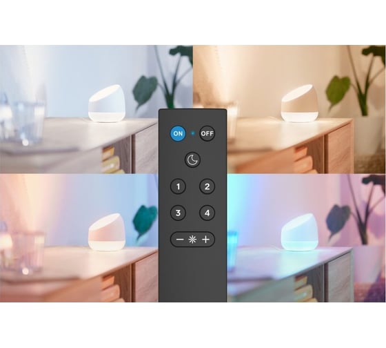 Пульт Wiz Remote Control с батарейками 929002426802