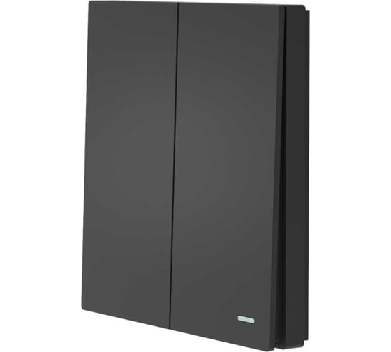 Беспроводной 2-клавишный выключатель GRITT Evolution антрацит, IP67, без реле 14005 1